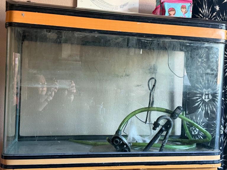 Fish tank for collection 