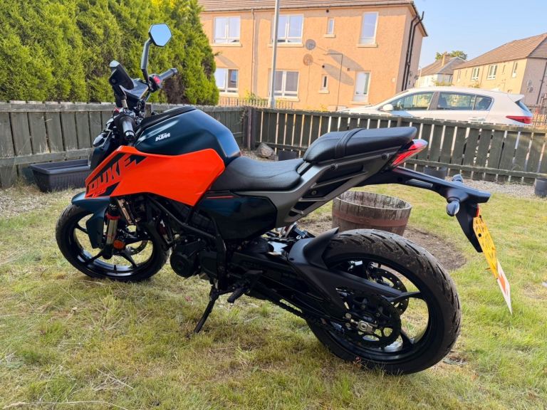 KTM, DUKE, 2024, 125 (cc)
