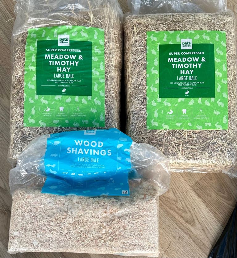 Free hay and sawdust for guinea pigs 