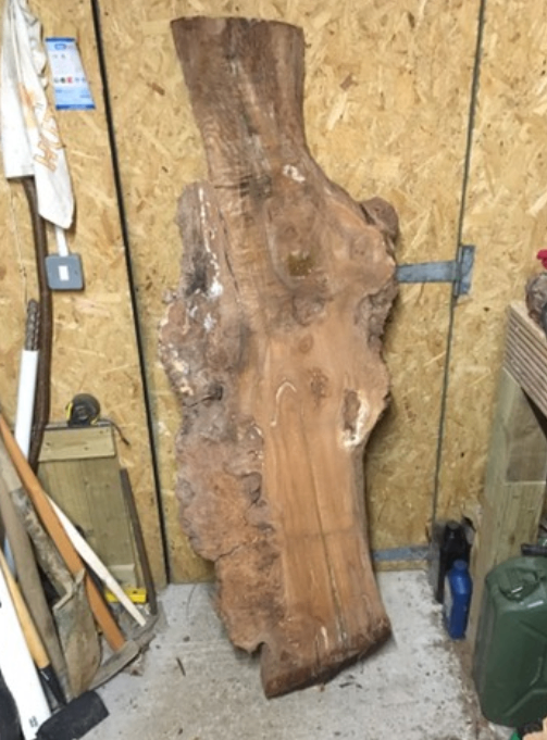 Elm Slab Wood