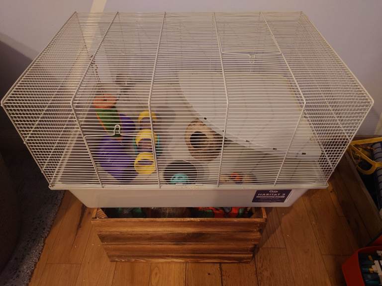 Hamster cage and equipment 