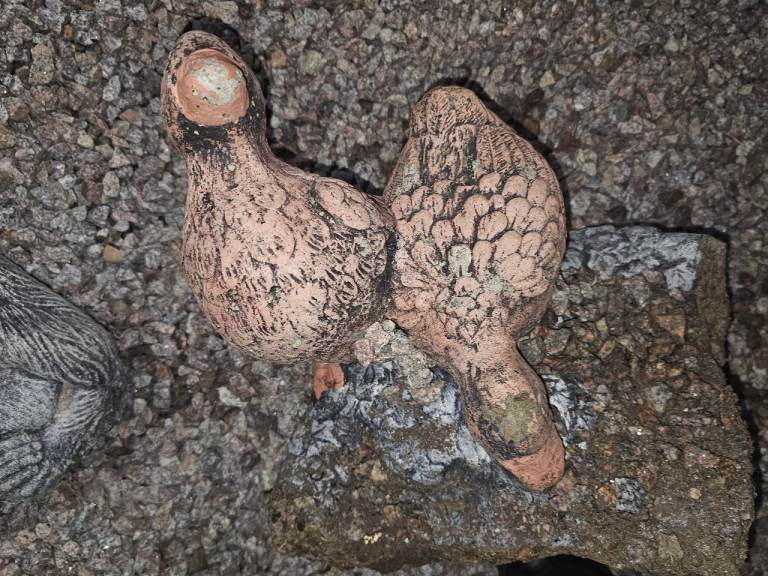 Garden Ornaments - Stone Ducks, Monkeys, Dog