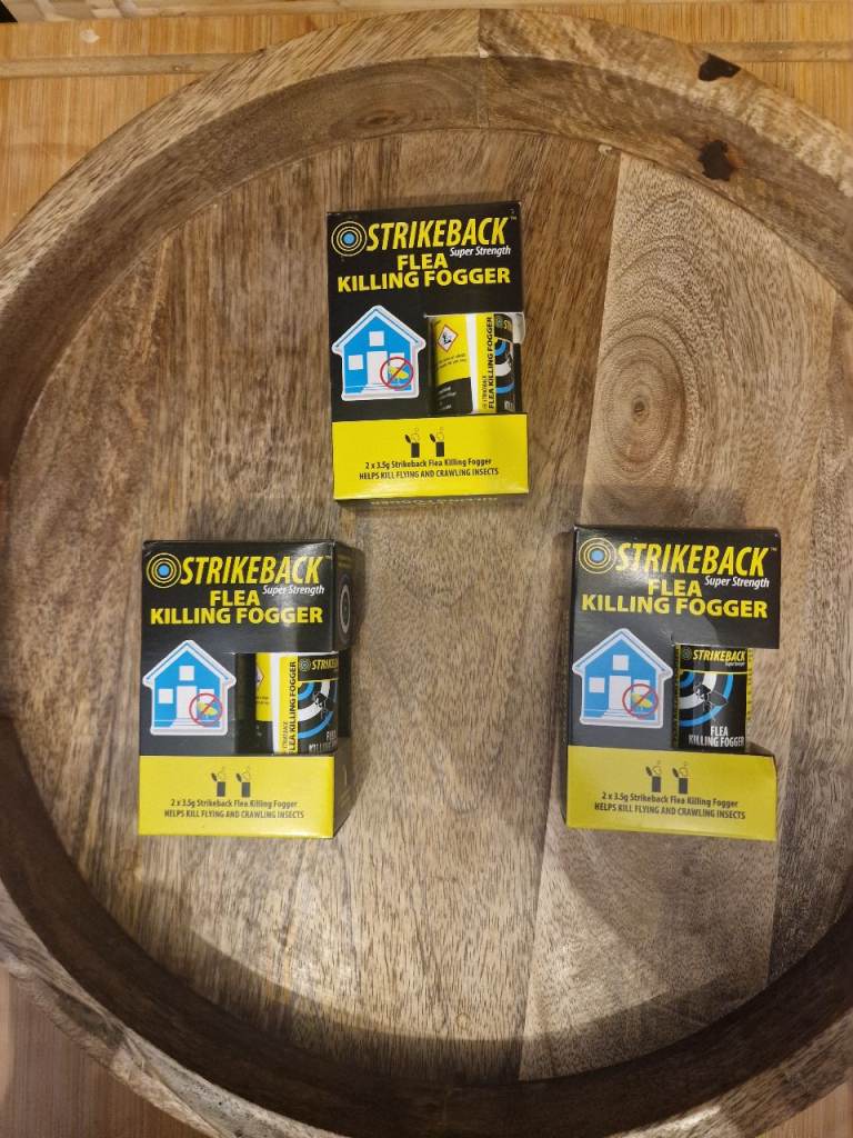 In house flea treatment floggers 