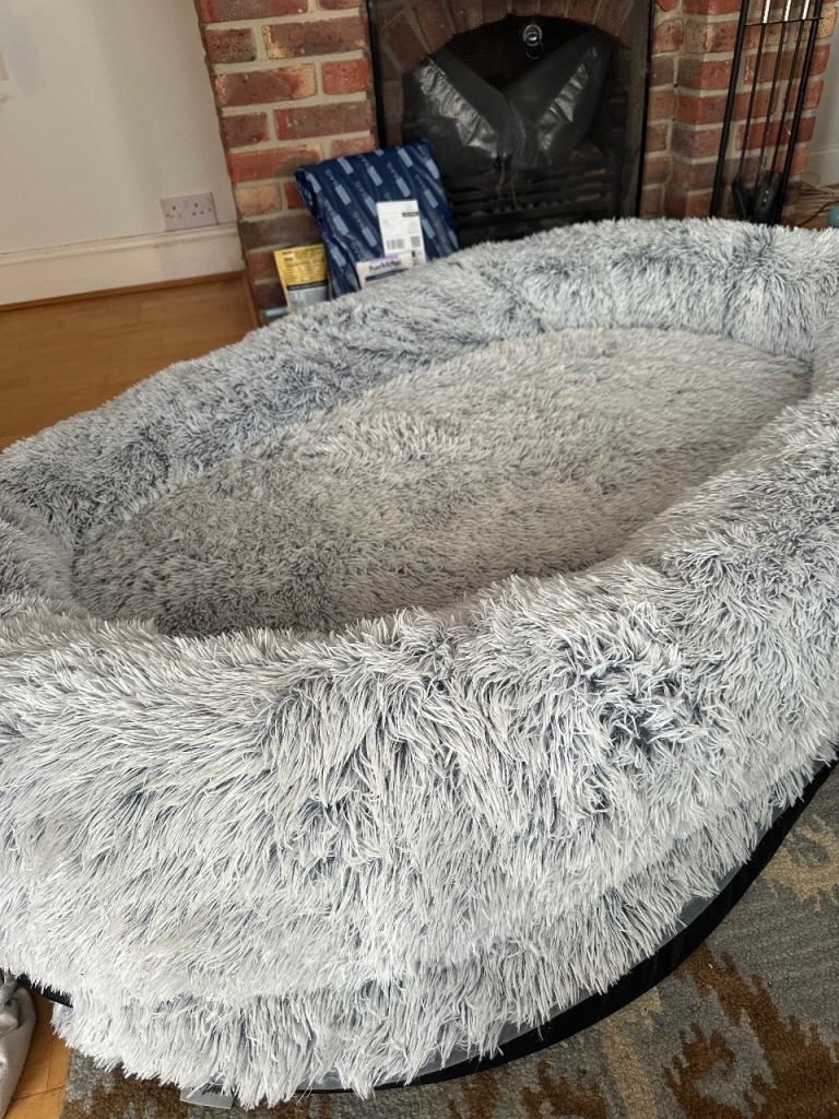 Adult cozy human dog bed! £35 oBO 
