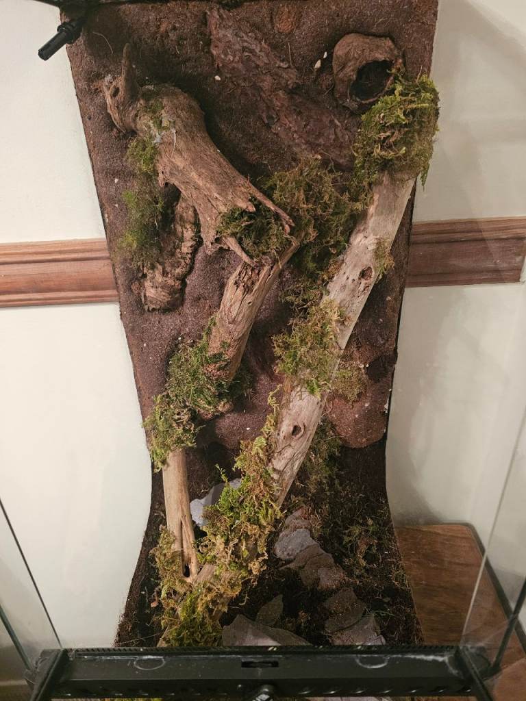 Exo terra 30x30x60 vivarium 
