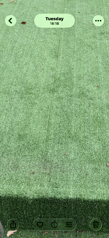 Artificial Grass 