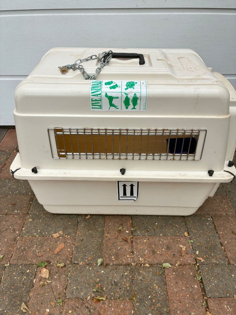 Airline approved small dog or cat carrier