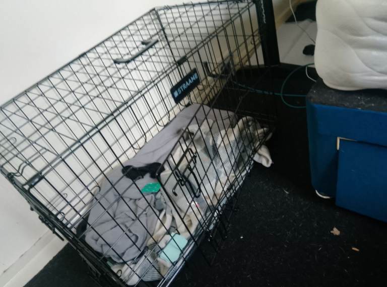 Medium dog crate for sale 