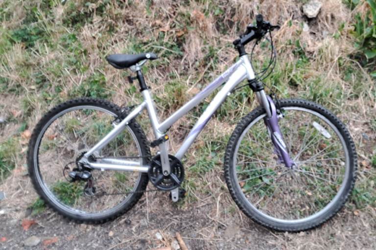 image for Giant Boulder aluminium frame bike 