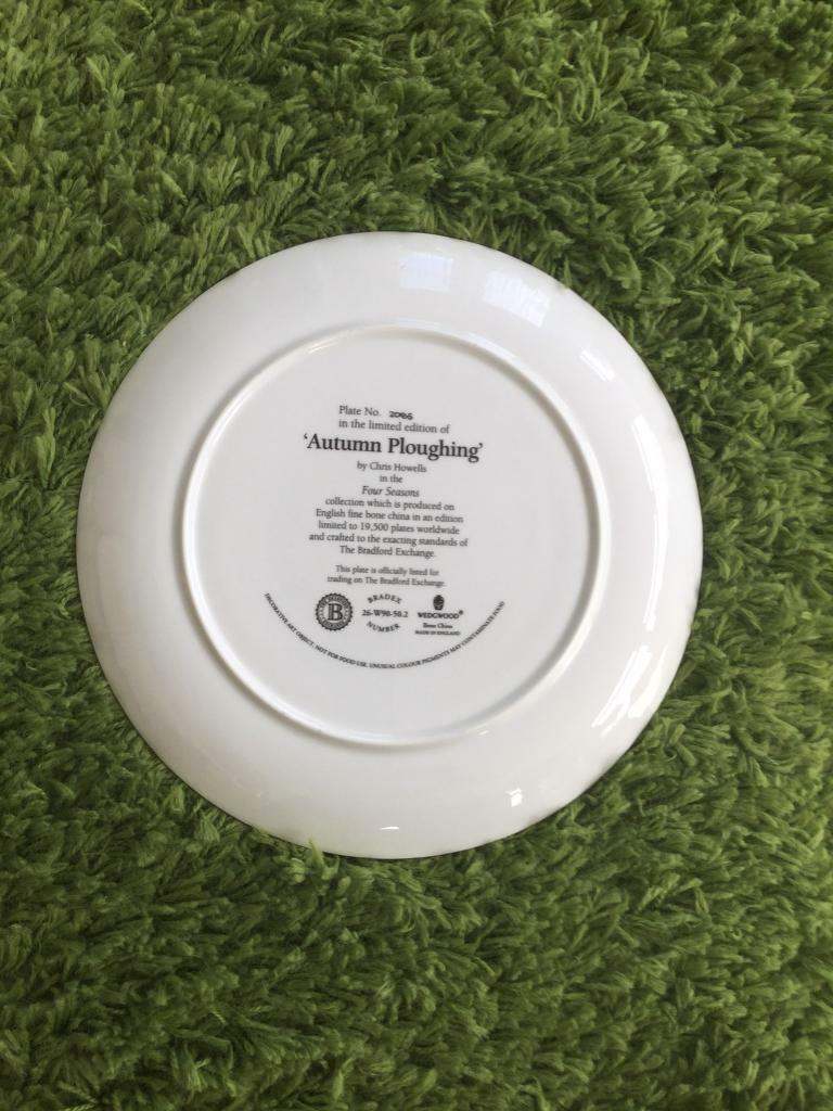 Set of 4 collectors plates 