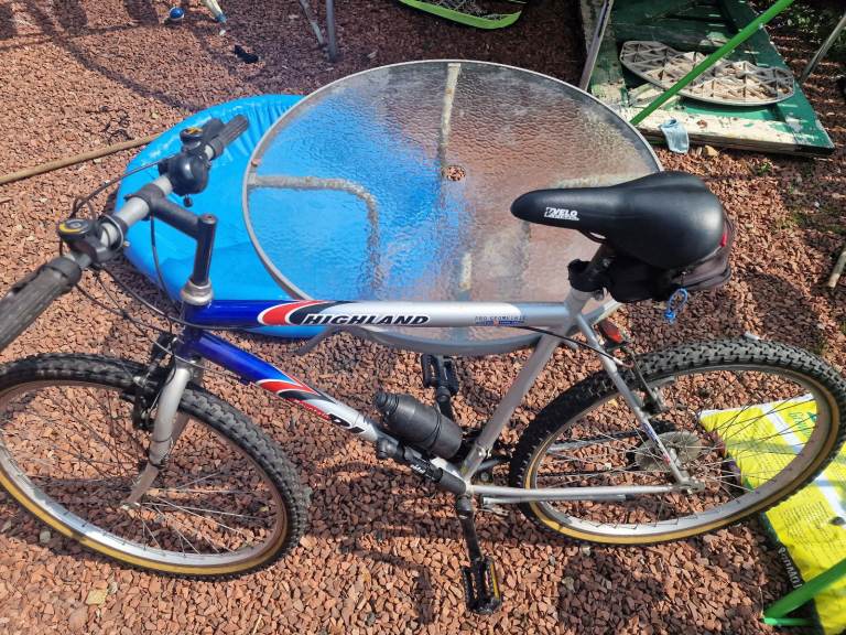 Adult bike