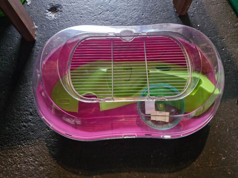 Hamster cage 