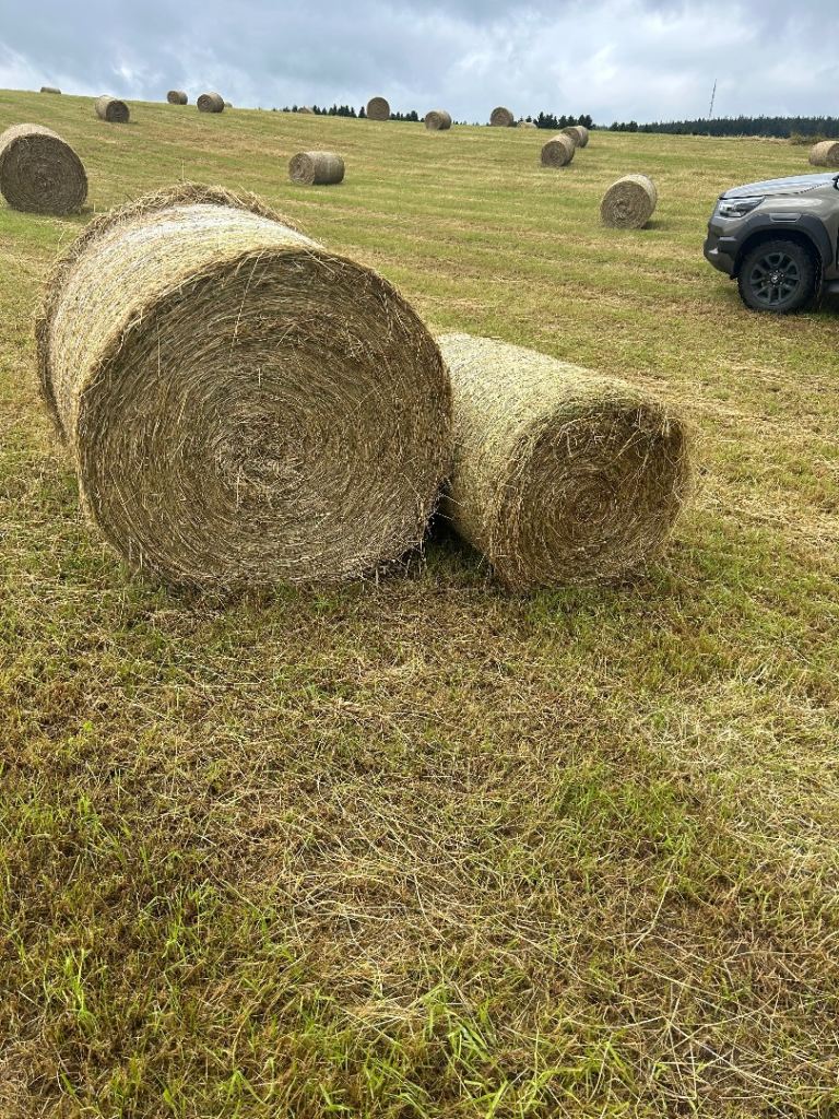 Hay & haylage