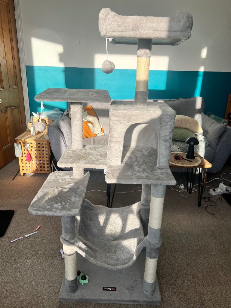Cat bed (brand new)