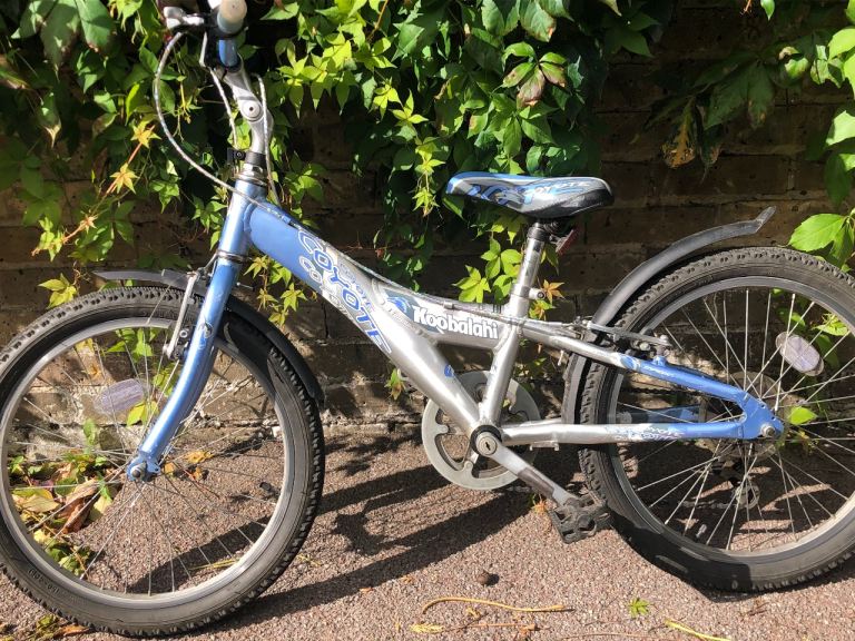 20 “ awesome blue bike 