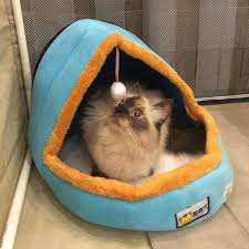 Pet Dog Cat Warm Soft Bed Pet Cushion Dog Kennel Cat Castle Foldable Puppy House with Toy Ball