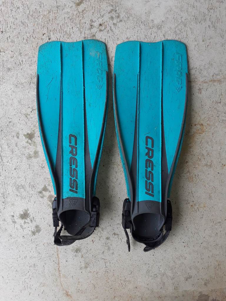 Scuba Diving Fins Cressi Sub Frog