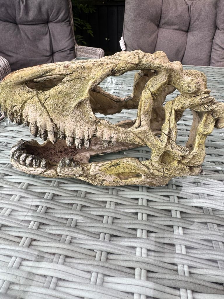 Reptile accessories 