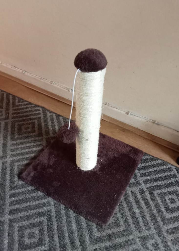 Cat Scratch Pole
