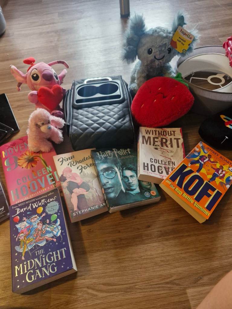 Mixed Bundle of Books, Toys, and Household Items