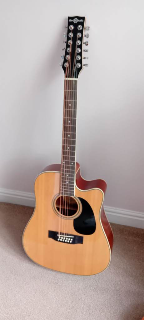 12 string acoustic guitar 