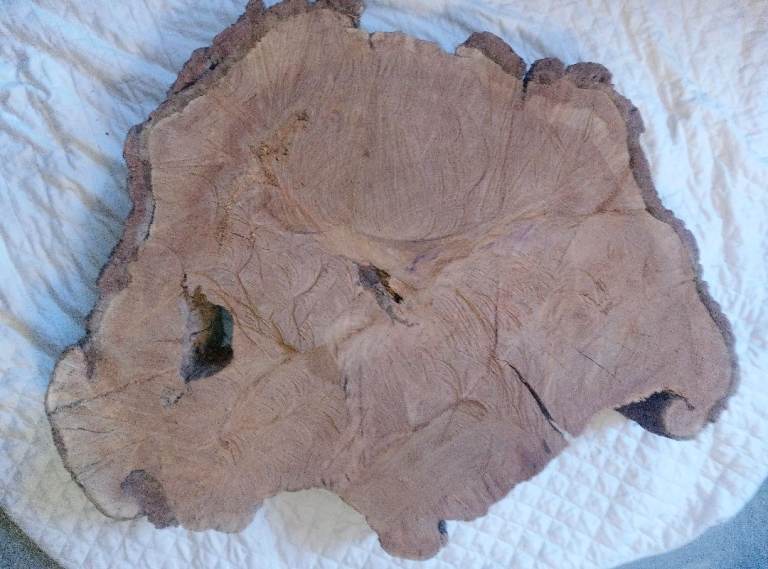 Large piece of oak