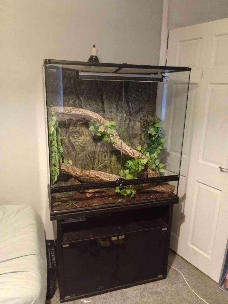 Reptile vivarium