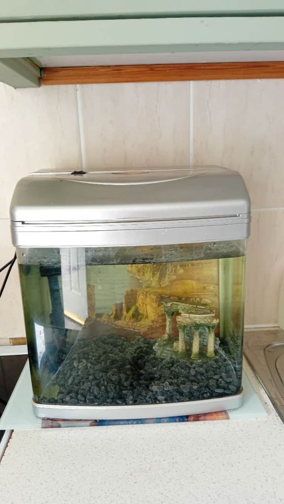 Small tank and accessories 