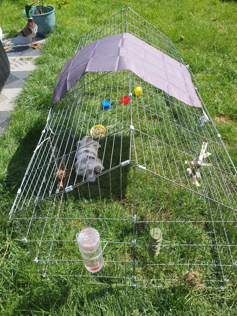 2 Rabbit Hutches & Run 