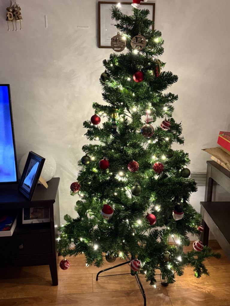 NEXT Christmas Tree with Lights