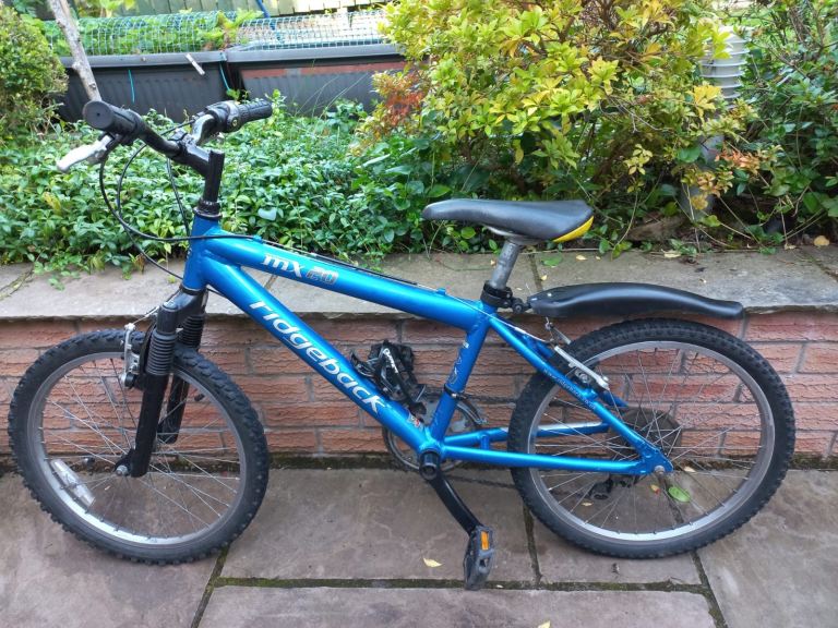 Ridgeback MX20 Kids Bike
