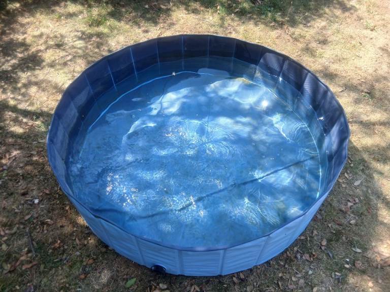 Dog Paddling Pool