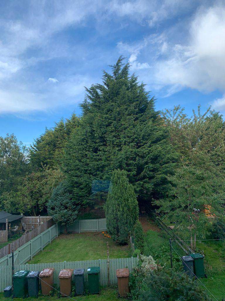 Apparent for rent - moat drive 