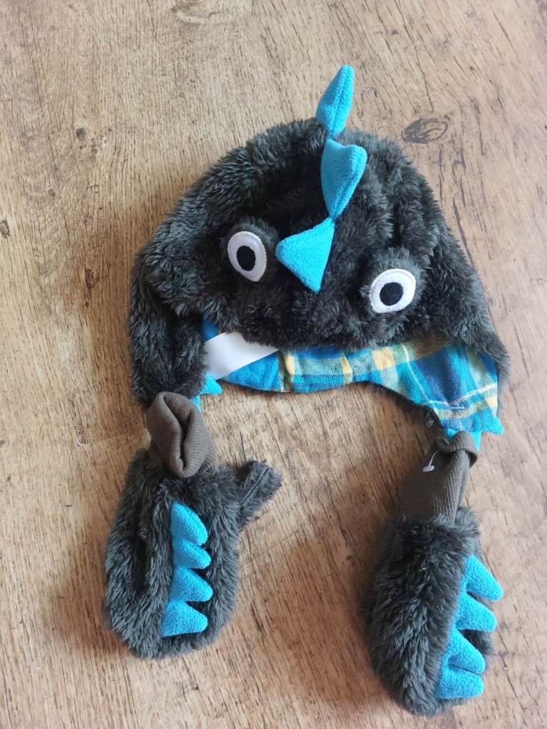 boys 2 piece cap and gloves set