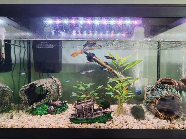 65 gallon fish tank accessories Mylivell Aquarium Heater this cabinet allows for easy charging of devices Ameliade Aquarium Artificial Plants &