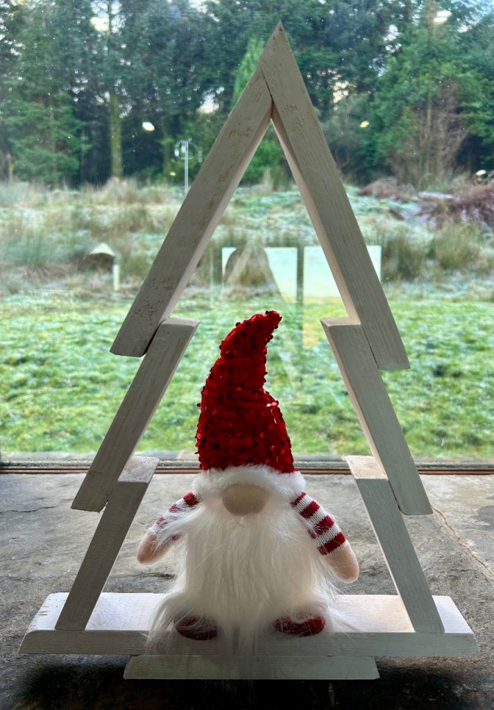 Hand Made Xmas Tree Display