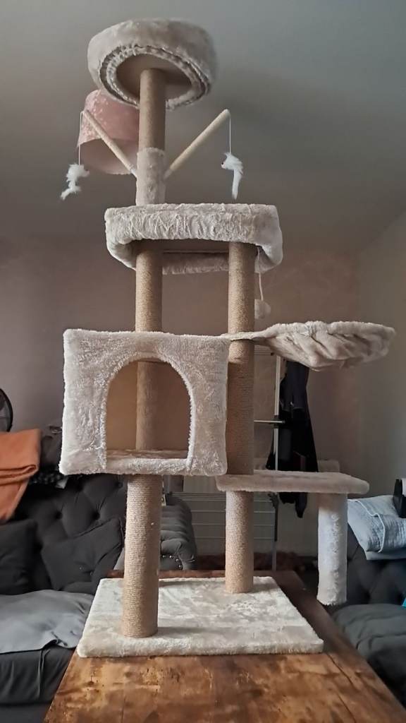 New cat tree house 