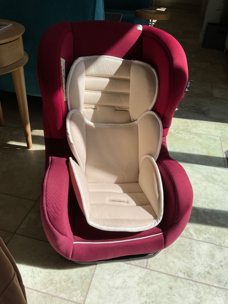 Car Seat with Infant Insert 