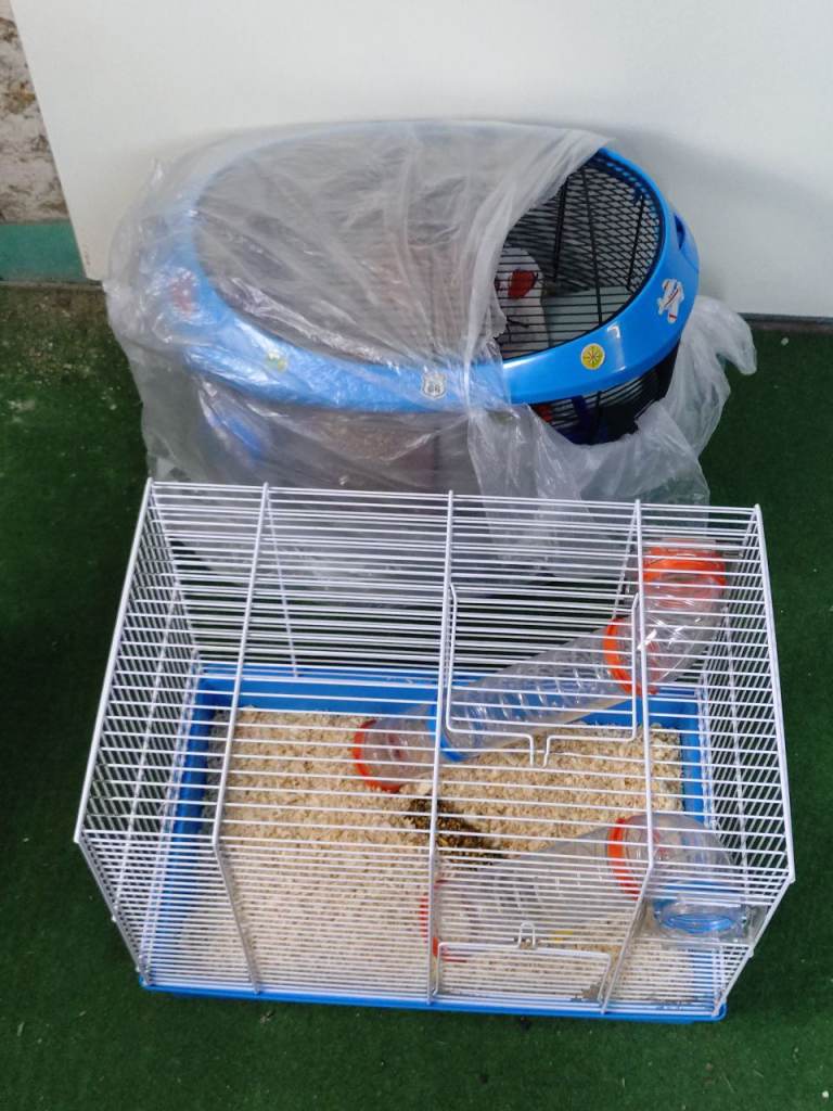 Two old used hamster cages