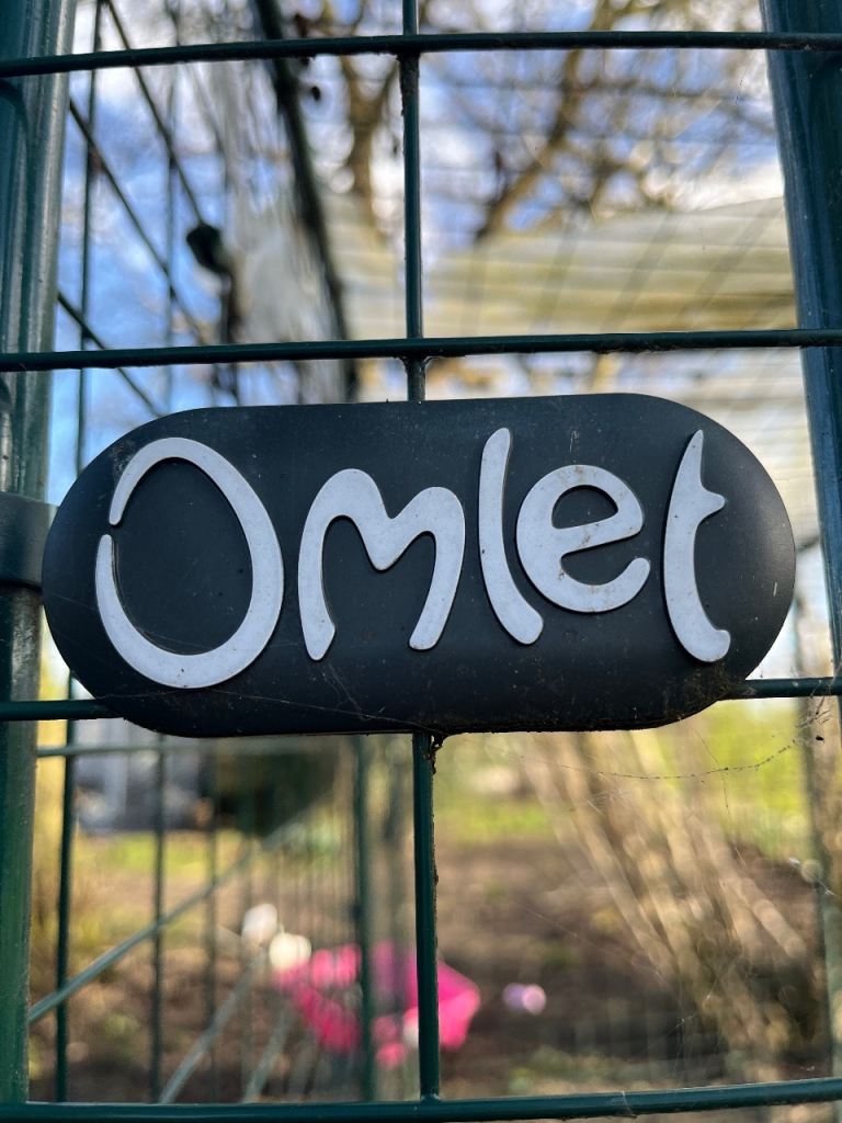 Omlet Eglu coop, tunnel and walk in run