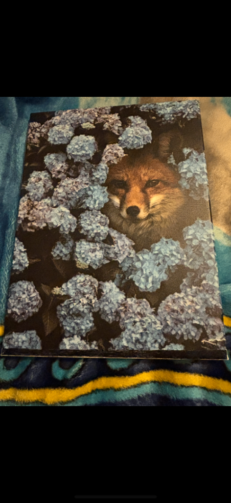 Fox Canvas 
