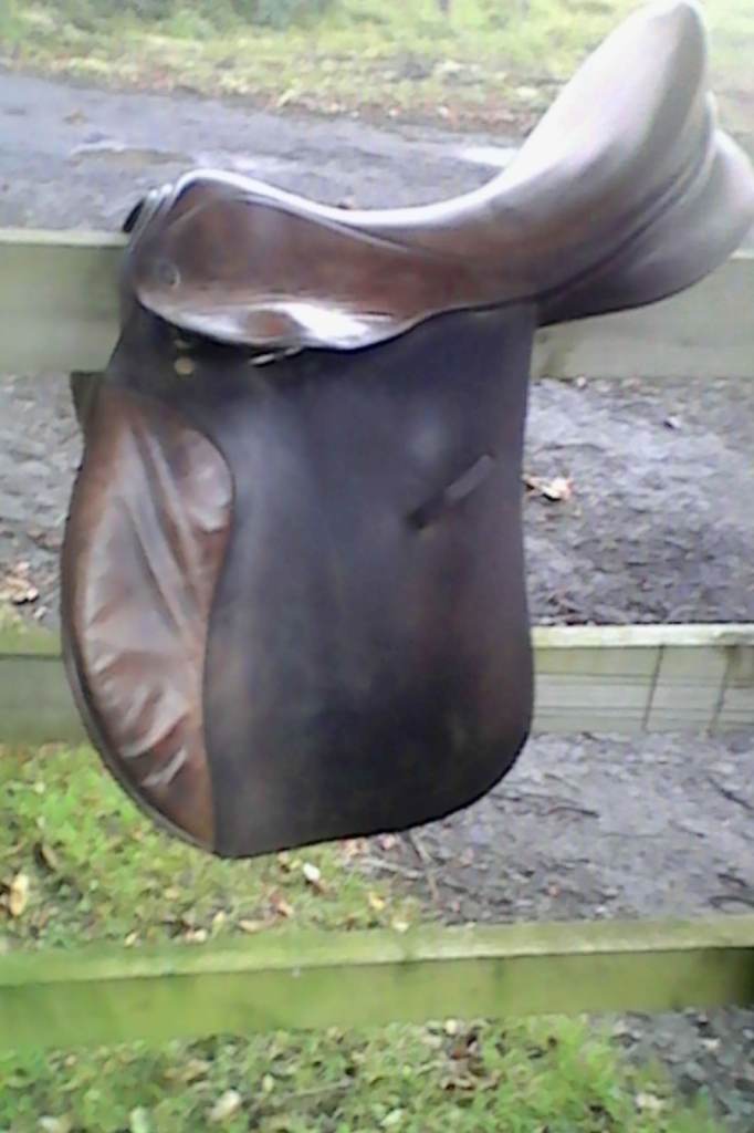 Horse SADDLE  GFS FEILD HOUSE 