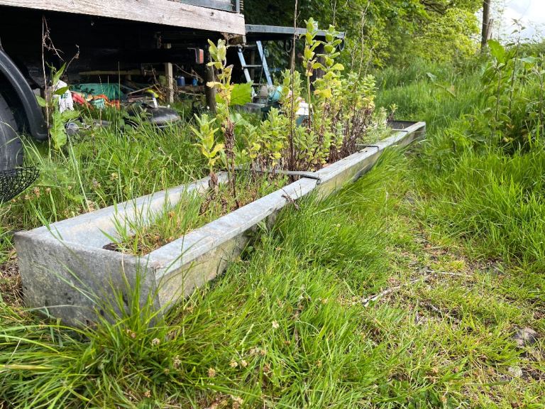 Agricultural feeder/trough planter