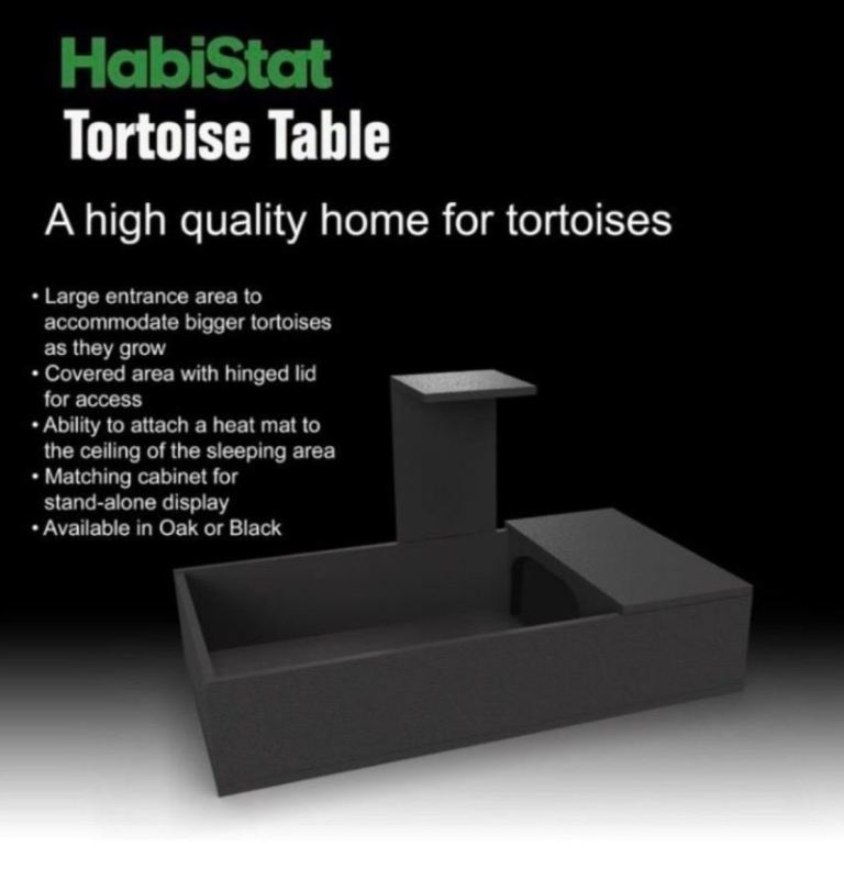 Tortoise table with accessories 