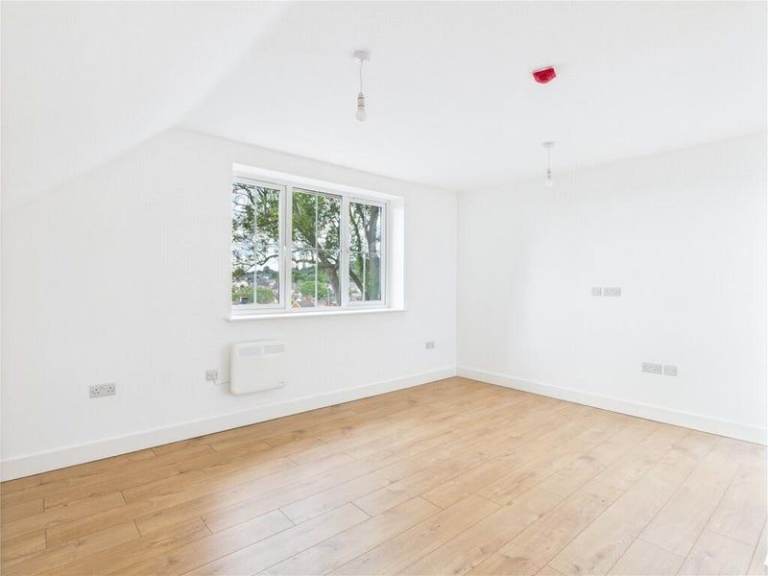 💜 Room for Rent | Ideal Living 🌟