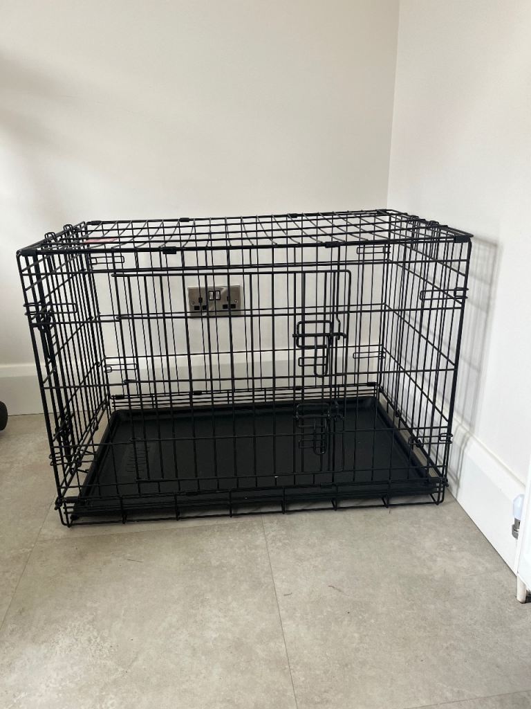 Kong dog crate 