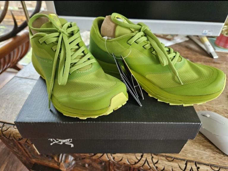 Arcteryx Approach Shoes