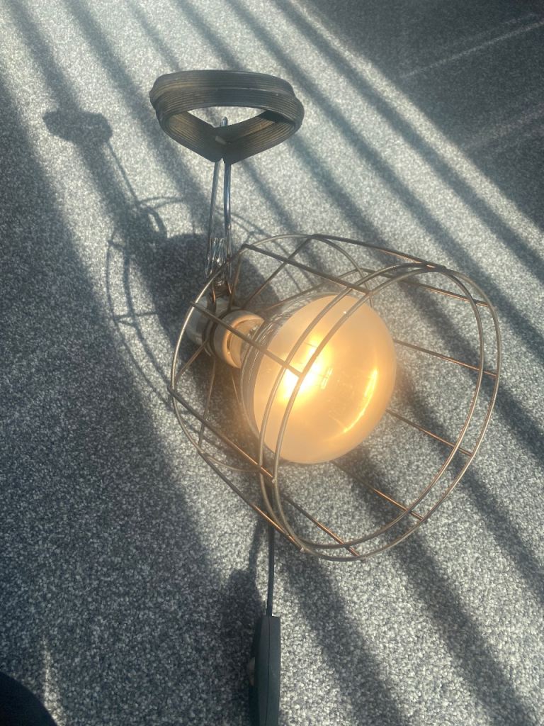 Reptile light fitting and bulb. Torquay -