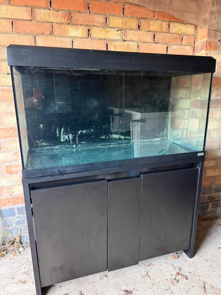 Fluval Roma 200 Black fish tank aquarium tropical setup delivery 🚚