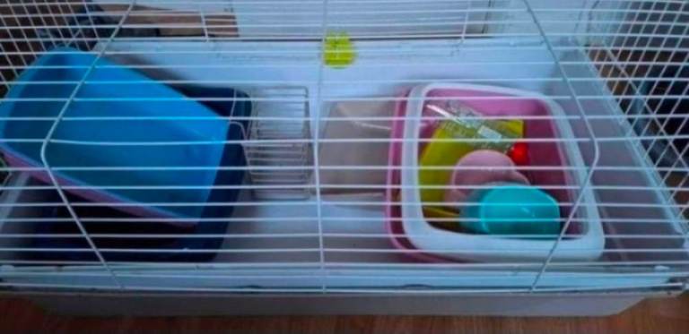 Rabbit cage & Accessories